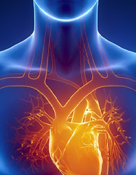 Patologie cardiovascolari, alirocumab approvato in Ue per riduzione del rischio